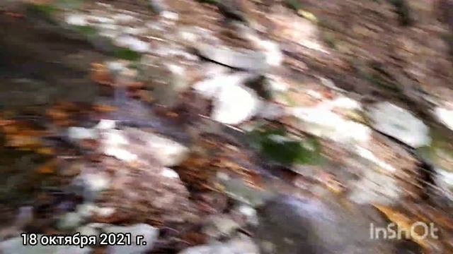 Часть 2. Река Гнокопсе и водопады/Агой, Агуй-Шапсуг смотреть онлайн