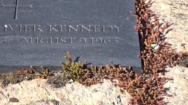 Вашингтон.Кладбище Арлингтон.Могила Джона Кеннеди и жены Джэкки. смотреть онлайн