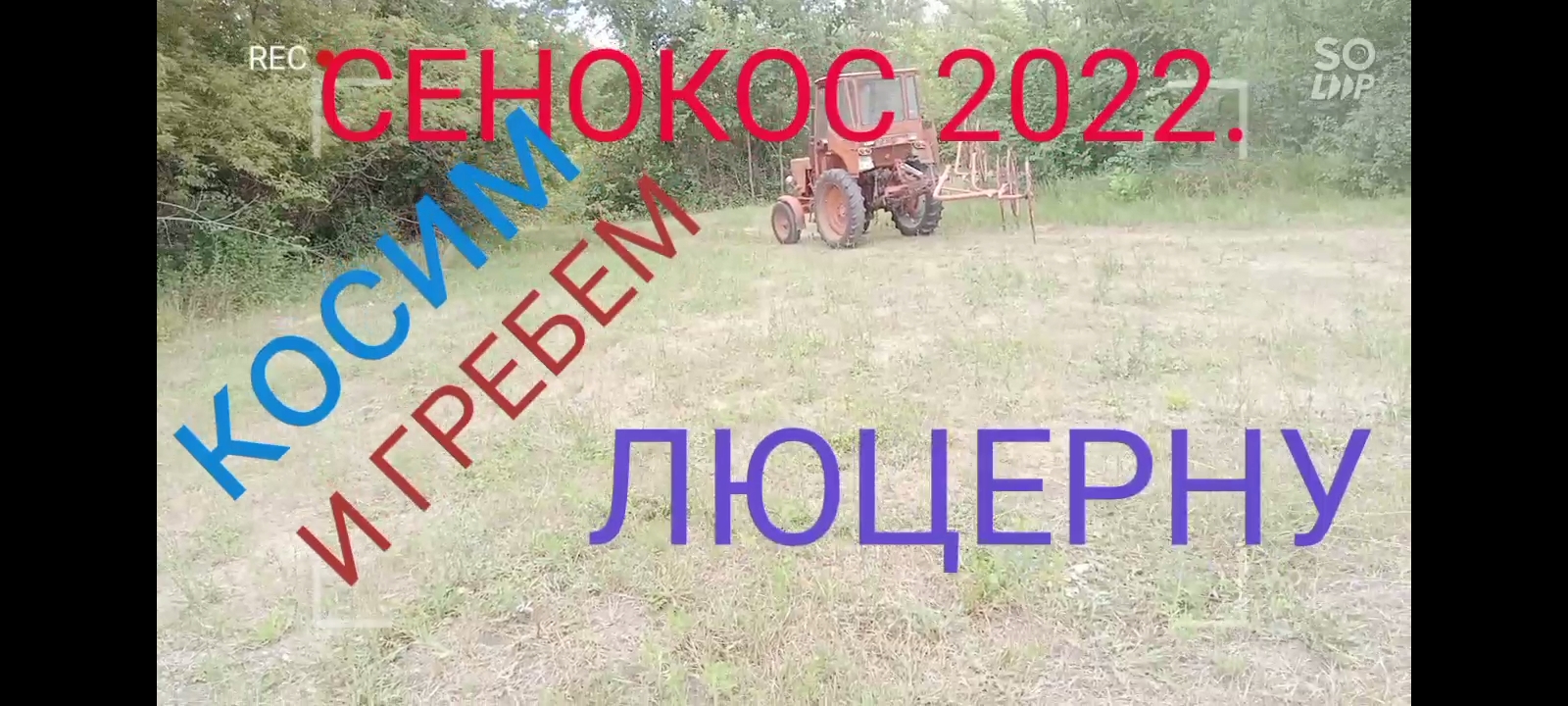 12-14 ИЮЛЯ. СЕНОКОС 2022г. Скосил и Сгребаю люцерну.