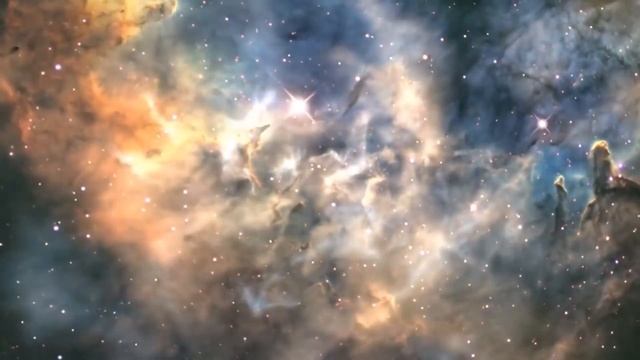 Познание. Что такое разум. смотреть онлайн