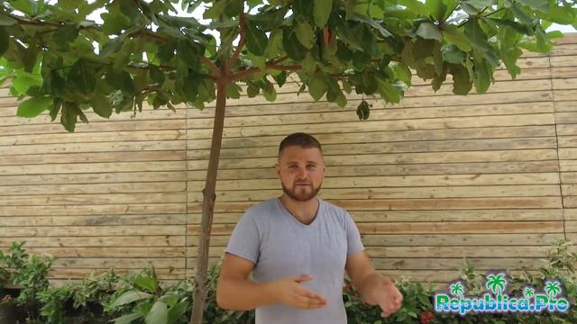 Какая погода в апреле в Доминикане? (доминикана. доминикана2017. доминикана цены. доминикана видео)
