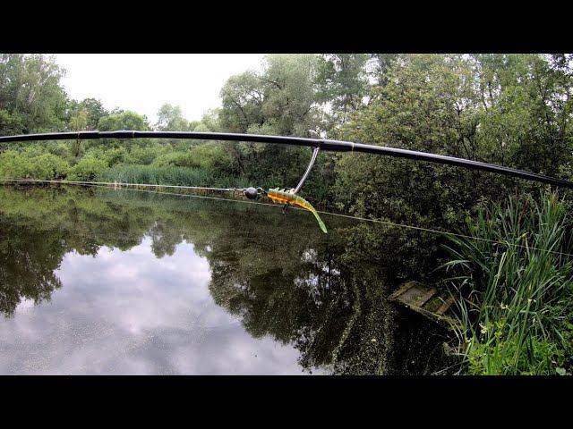 Нашел пруд в лесу, решил половить. #микроджиг# смотреть онлайн