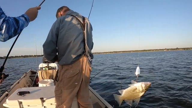 Lake Proctor: EPIC topwater action смотреть онлайн