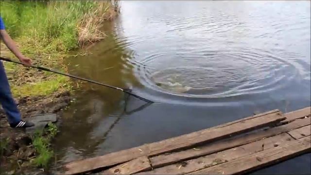 Ловля карпа. Жуковский водоём смотреть онлайн