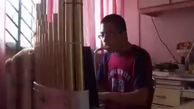 奋勇前进 - 中音笙 Fen Yong Qian Jin (Zhong Yin Sheng Cover) смотреть онлайн