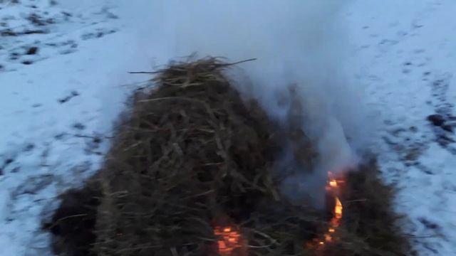 Жгу сено, делаю удобрение ! смотреть онлайн