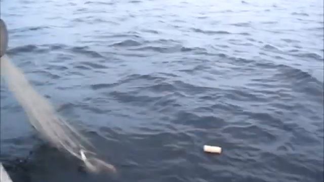 Сетеполотна MOMOI Хамелеон