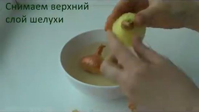 Проращиваем лук в воде смотреть онлайн