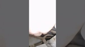 СВЕТОДИОДЫ В БЛИЖНИЙ СВЕТ | КИЯ СИД | LED ЛАМПЫ