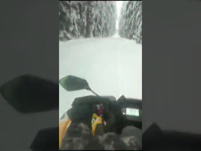 Холодно , но тепло в душЕ !!! смотреть онлайн