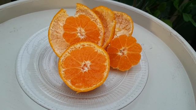 Мандарин "KISHU-MIKAN" смотреть онлайн