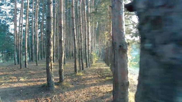 Моё большое путешествие Ӏ Водопад, скалы, карстовое озеро, курорт Петропавловск Ӏ My Travel vlog смотреть онлайн