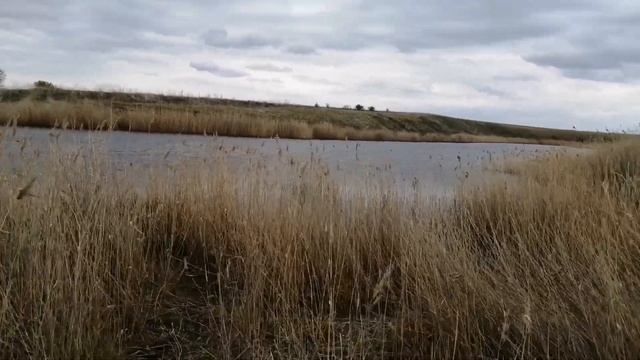 Влог: Разведка перед рыбалкой. Река Камышловка Омская Область смотреть онлайн