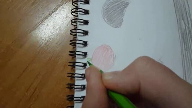 Милая панда в моём sketchbook смотреть онлайн