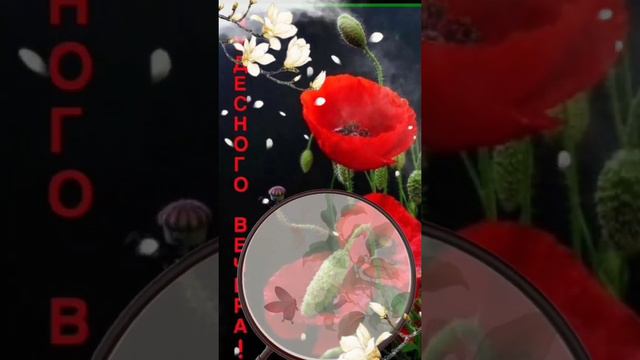 2 мая 2022 г. смотреть онлайн