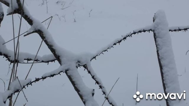 Давай поиграем. Не показывать детям. Слушать в наушниках. смотреть онлайн