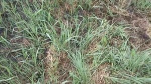 Металлокоп в заброшенной деревне. ???#деревни #хобби #металл