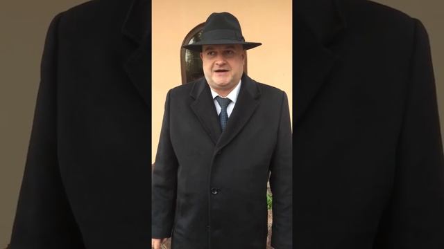 Привет Вилке смотреть онлайн