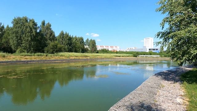 43. Зеленоград. Малый городской пруд. Июль. 2021 смотреть онлайн