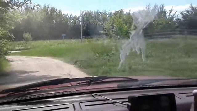 Нижний Воргол смотреть онлайн