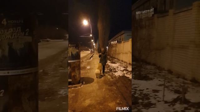 Акита-ину Волгоград смотреть онлайн