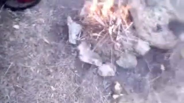 Делаем костер. Жарим орехи и хлеб? смотреть онлайн