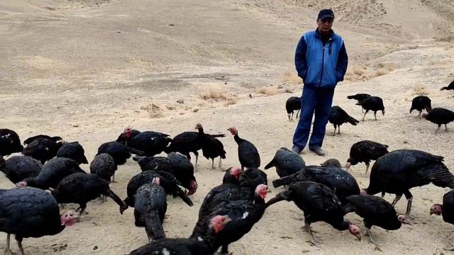 ИНДУК БИЗНЕС Жолдору || 2000 с АР БИРИ || ЖАКШЫ турбайбы. смотреть онлайн