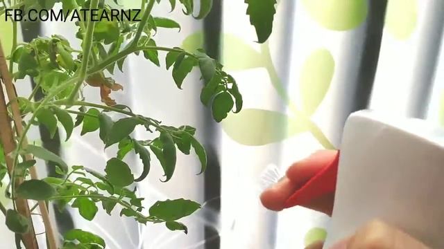Xiaomi spray bottle смотреть онлайн