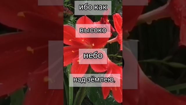 Не по беззакониям нашим сотворил нам... #стихи#Библия смотреть онлайн
