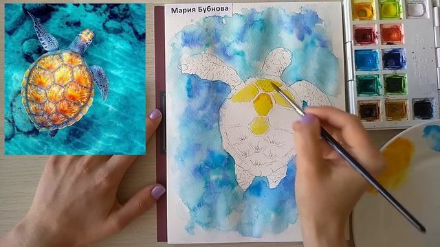 Скетчинг для начинающих. Уроки рисования. Как нарисовать черепаху? смотреть онлайн