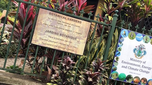 Круиз на "Косте".Индийский Океан.Сейшельские острова-Ботанический сад.Октябрь2019 смотреть онлайн