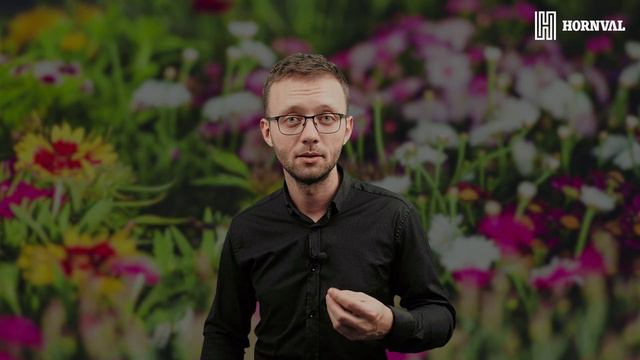What to look for when designing your garden – top 10 tips смотреть онлайн