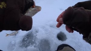 Эта снасть выручает всегда! Зимняя РЫБАЛКА НА ПЛОТВУ  в начале марта на стоячку.