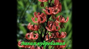 Охрана растений