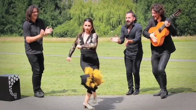 Lourdes Fernandez Flamenco company: Raíces смотреть онлайн