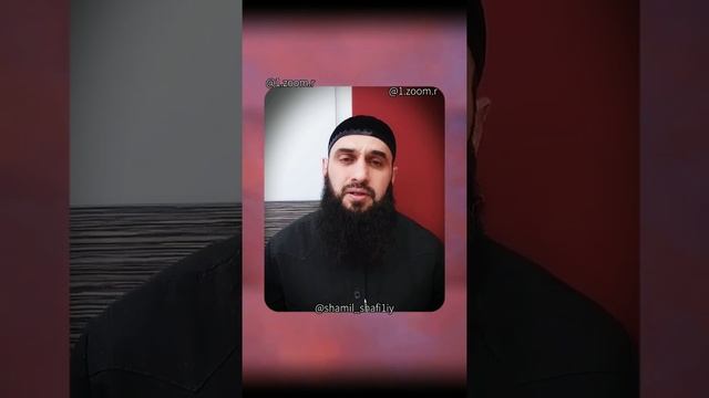 Милость и утешение