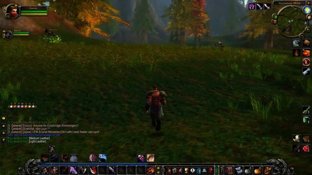 World of Warcraft Classic nostalrius Прохождение Разбойник #04 World PVP смотреть онлайн