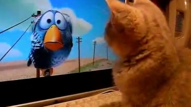 multik смотреть онлайн