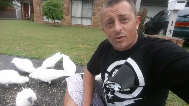 Мужик встретил 20 какаду смотреть онлайн