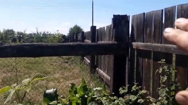 Деревянная шпилька из СССР? смотреть онлайн