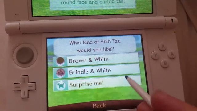 Nintendogs+Cats The newest dog смотреть онлайн