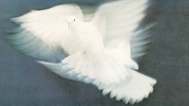 Open Your Eyes, You Can Fly смотреть онлайн