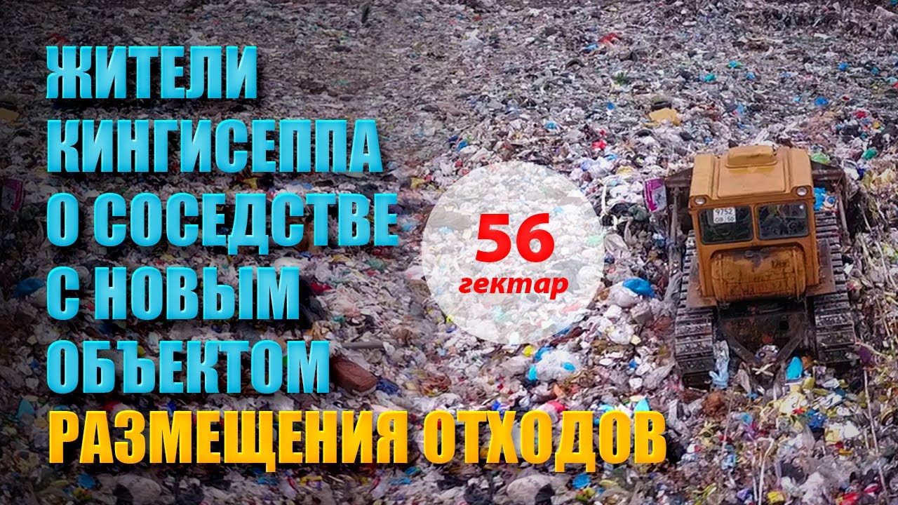 Мнение жителей и гостей Кингисеппа о соседстве с новым объектом размещения отходов смотреть онлайн