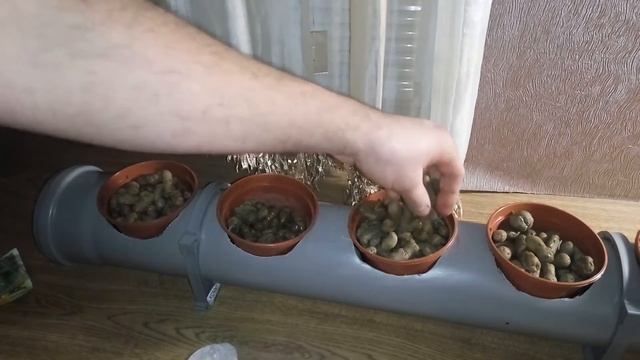 Гидропоника! Высадка Салата! смотреть онлайн