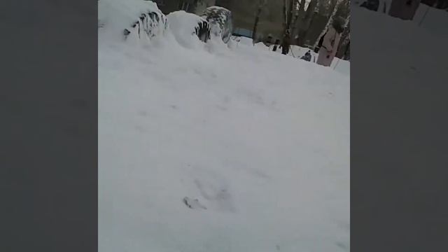 Последний 7 день недели влогов/18 ноября смотреть онлайн