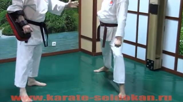 Как правильно наносить круговой удар ногой в голову, МАВАШИ ГЕРИ смотреть онлайн