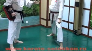 Как правильно наносить круговой удар ногой в голову, МАВАШИ ГЕРИ