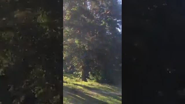 Бизнес Тренер SM7 Артур Барнашев текст песни смотреть онлайн