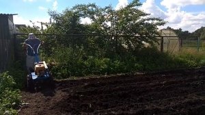 Сажаем картошку мотоблоком Нева МБ-2 на штатных резиновых колесах новым способом