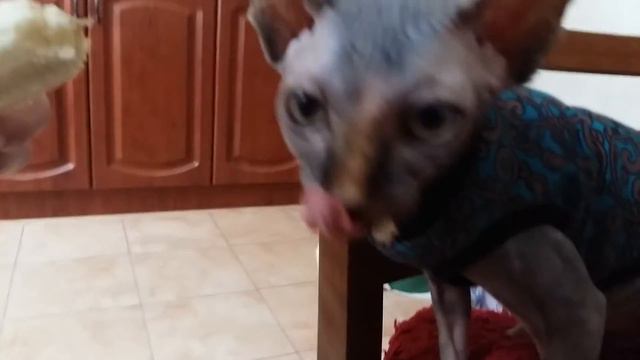 Мерси ест бананы смотреть онлайн